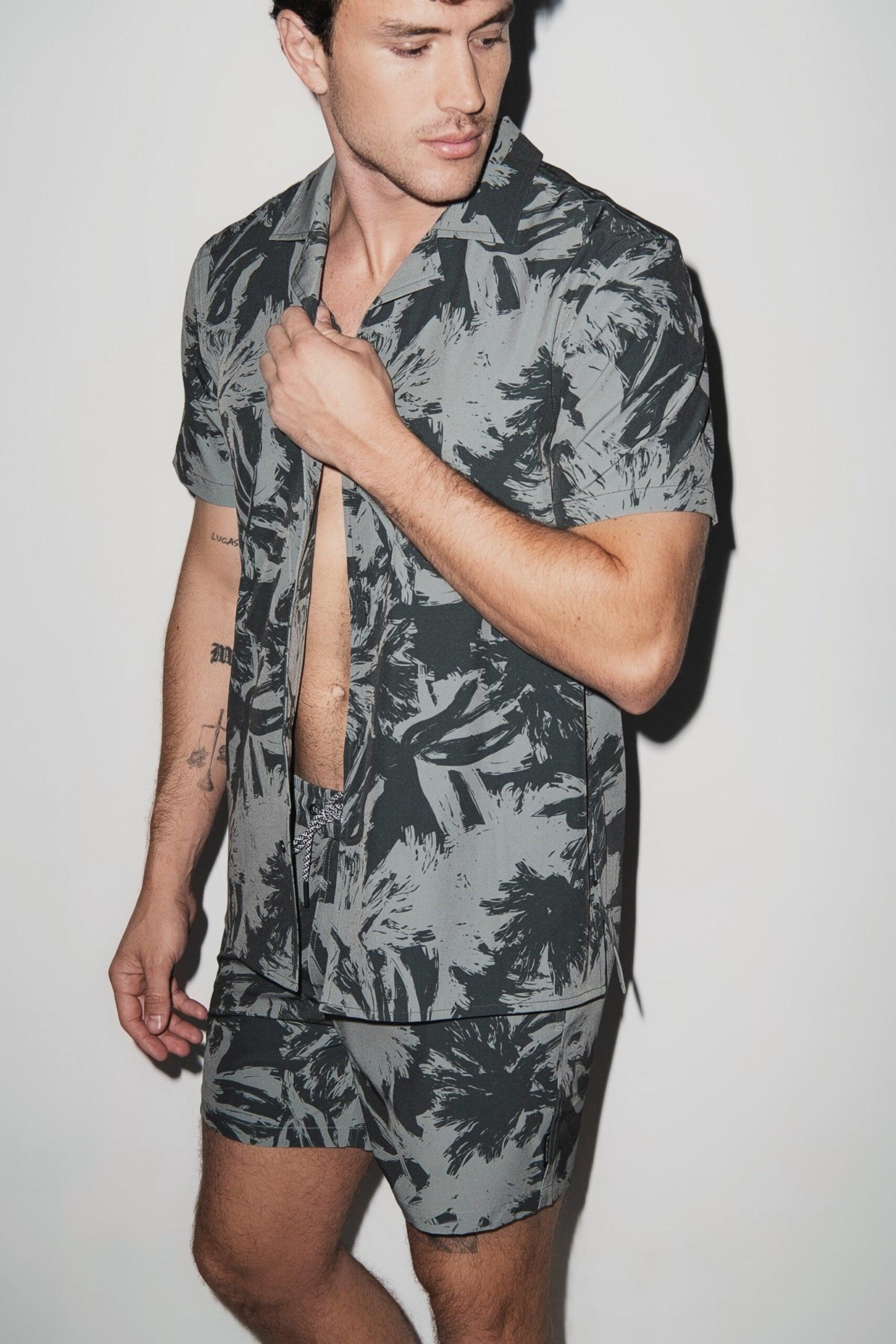 PLM003T-Light_Fern-01_e9fa810a-ab0d-40c2-957f-3a67fa6a2662